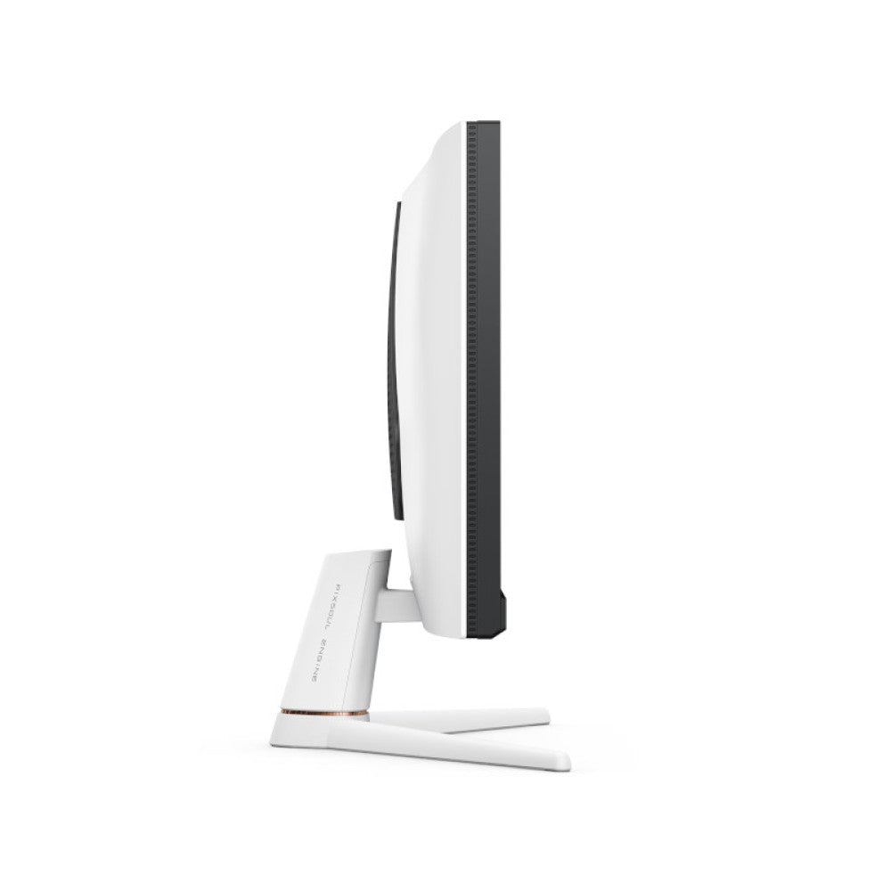 BenQ MOBIUZ EX251 25 Inch FHD IPS 220Hz FreeSync Gaming Monitor